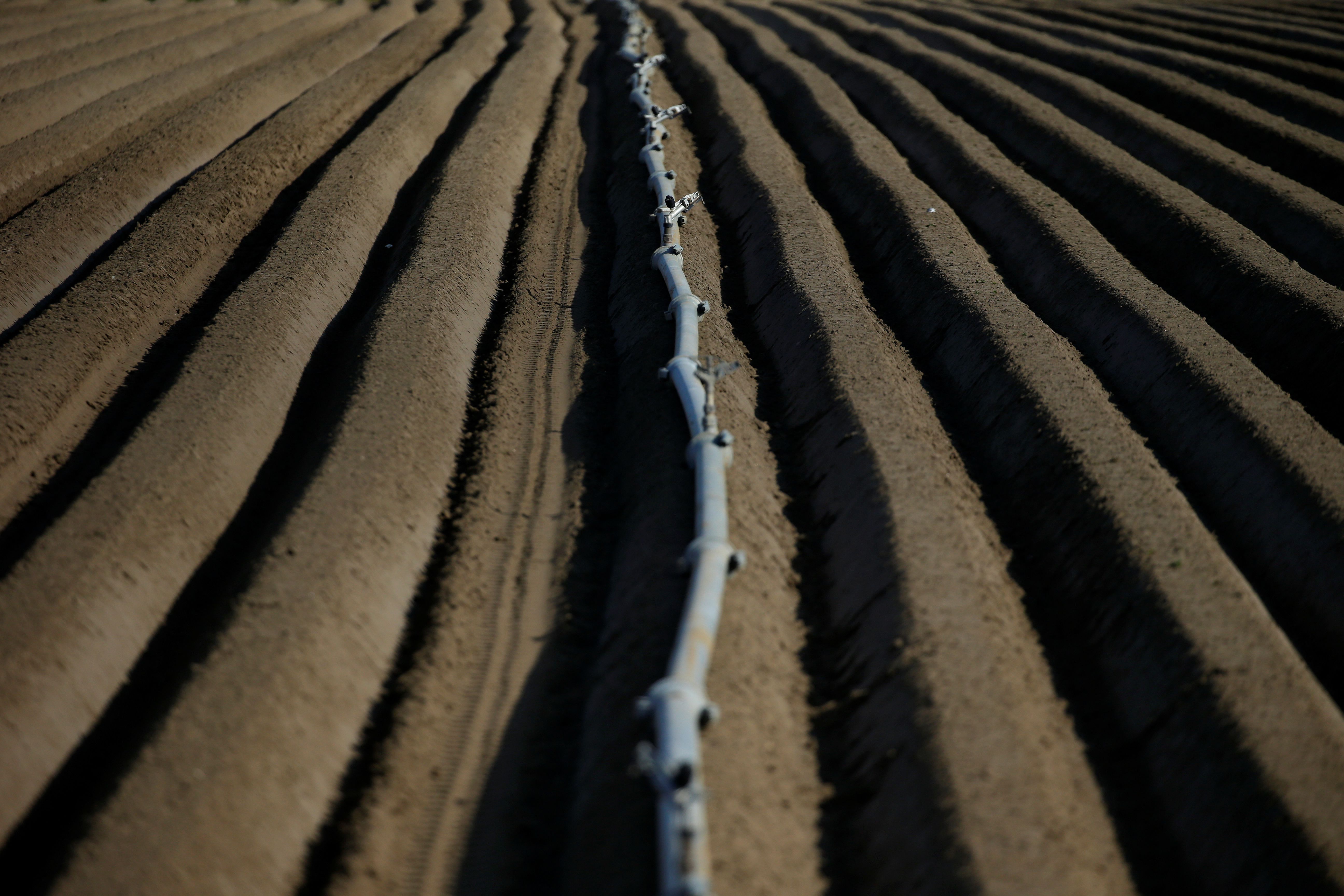 Mangelt es in den Abruzzen an Wasser, liegt das nicht nur an der Trockenheit.