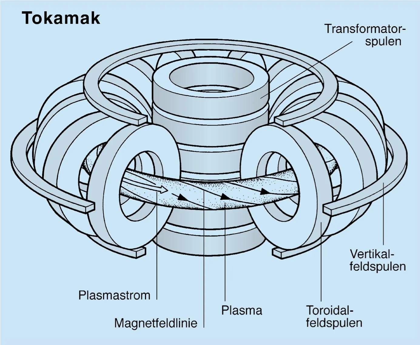 In einem Fusionsreaktor vom Tokamak-Typ verdrillt ein im Plasma fliessender Strom die Magnetfeldlinien.