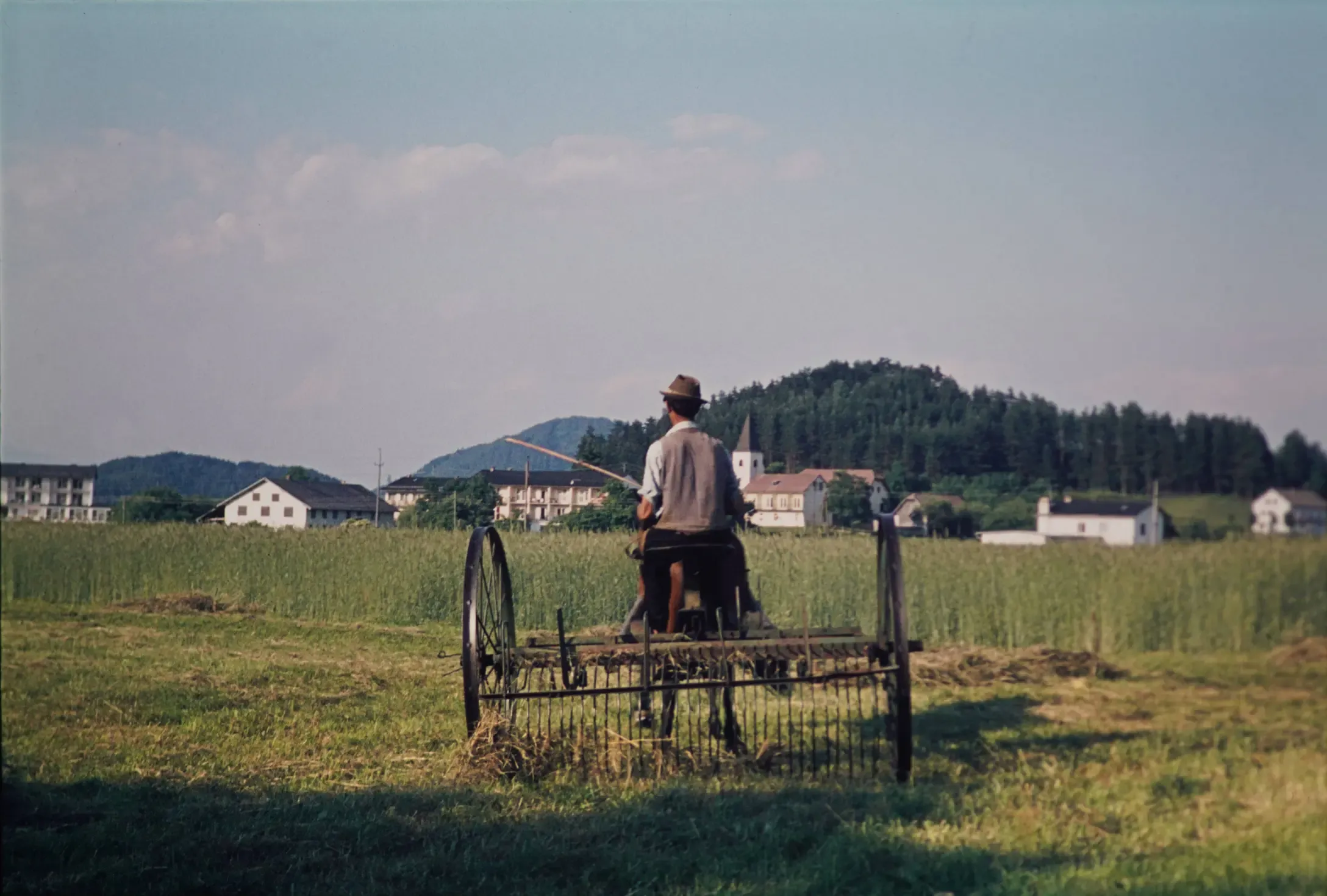 Bauer auf dem Feld mit einem Pferd (Deutschland, ungefähr 1950).