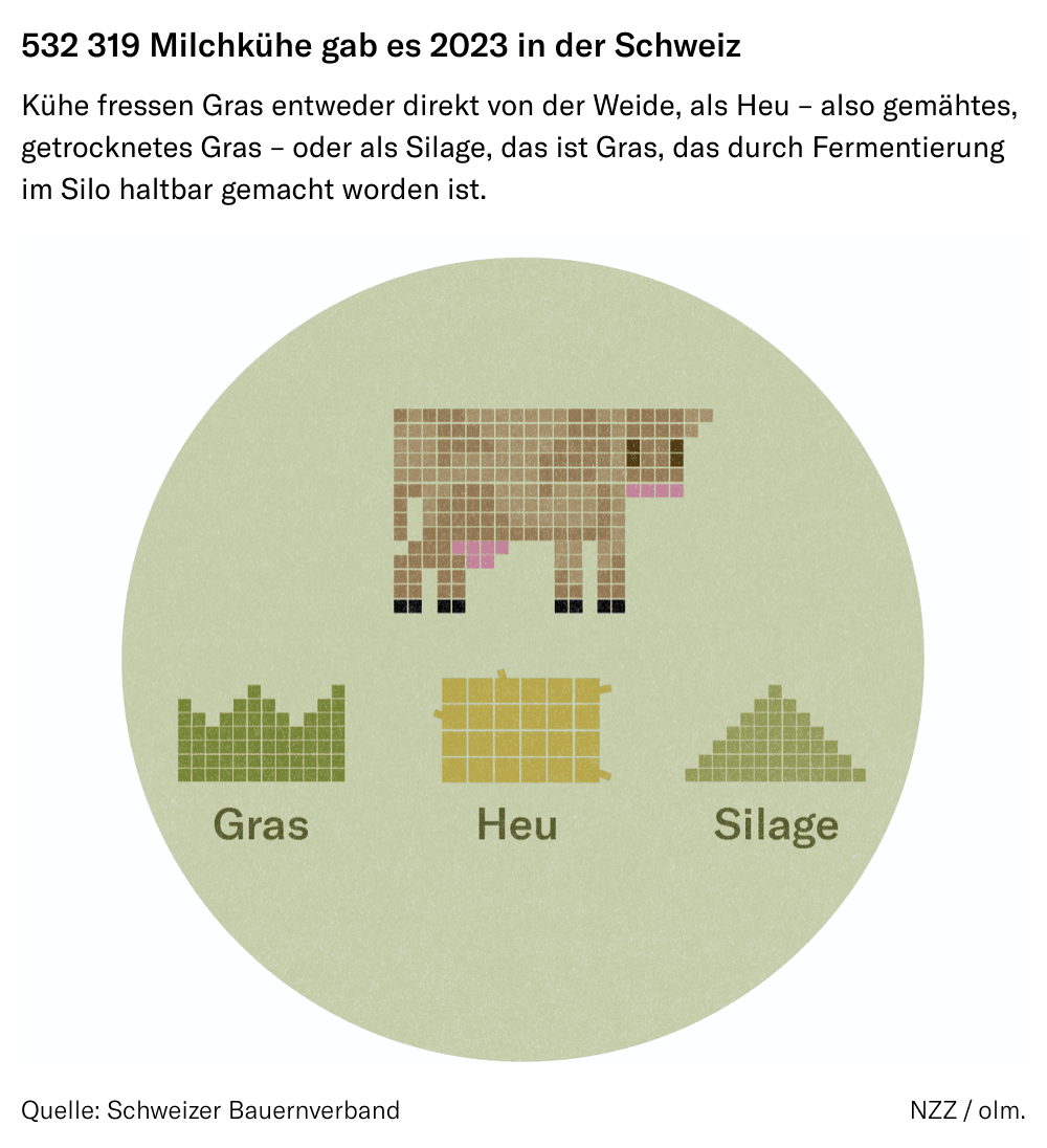 532 319 Milchkühe gab es 2023 in der Schweiz