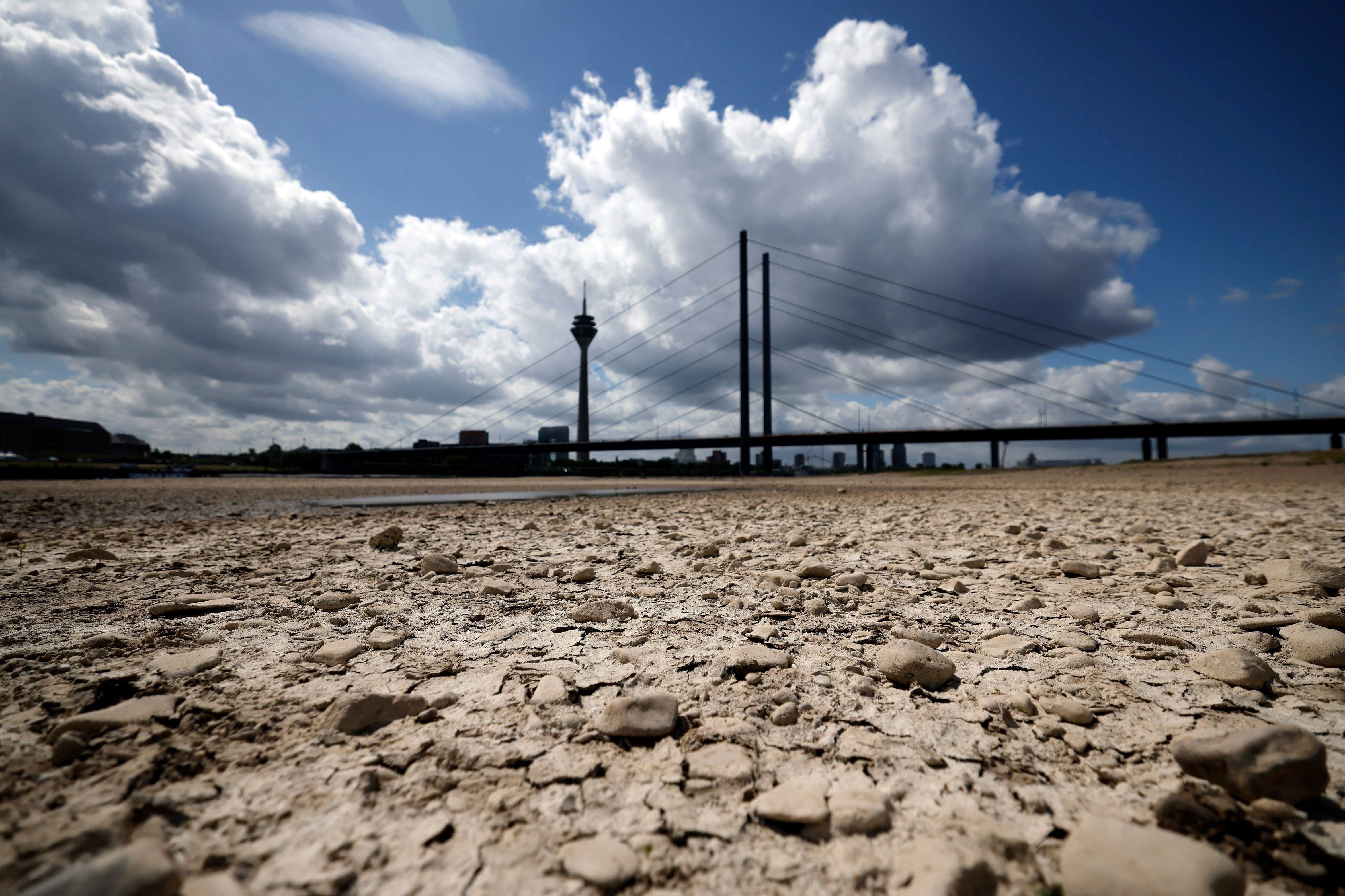 Am 22. Mai 2025 führte der Rhein bei Düsseldorf wenig Wasser. Ein Vorzeichen für einen extremen Sommer? Es muss nicht so kommen.