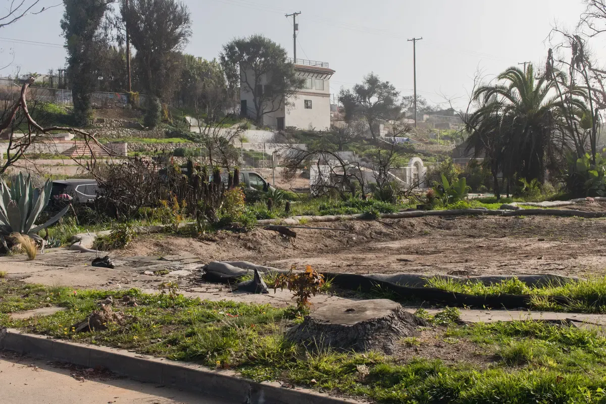 An der Adresse 669 Haverford Avenue lebte Patty Cohen 36 Jahre lang, nun ist nur noch der Pool übrig.