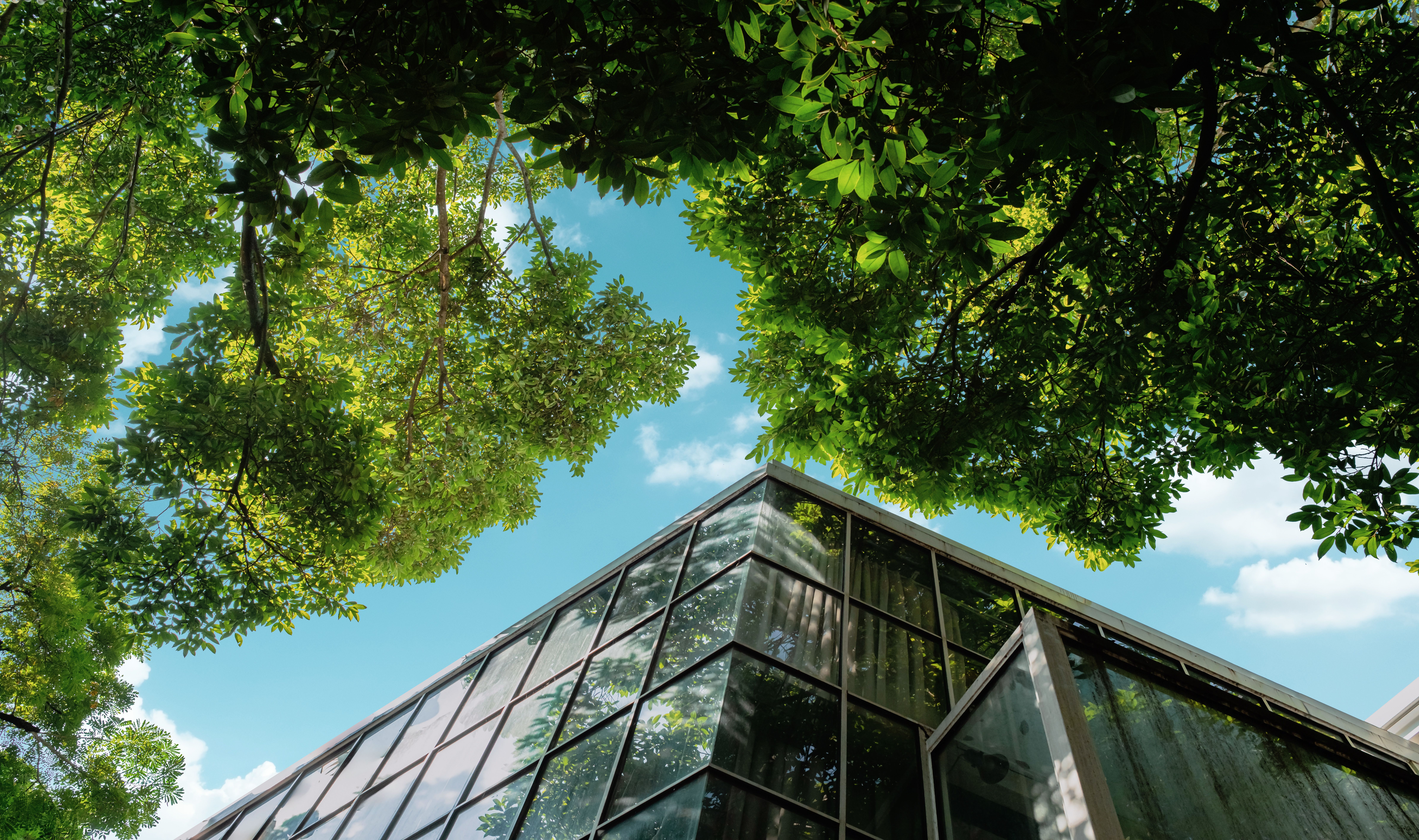 Casa con facciata in vetro e alberi per sottolineare la sostenibilità
