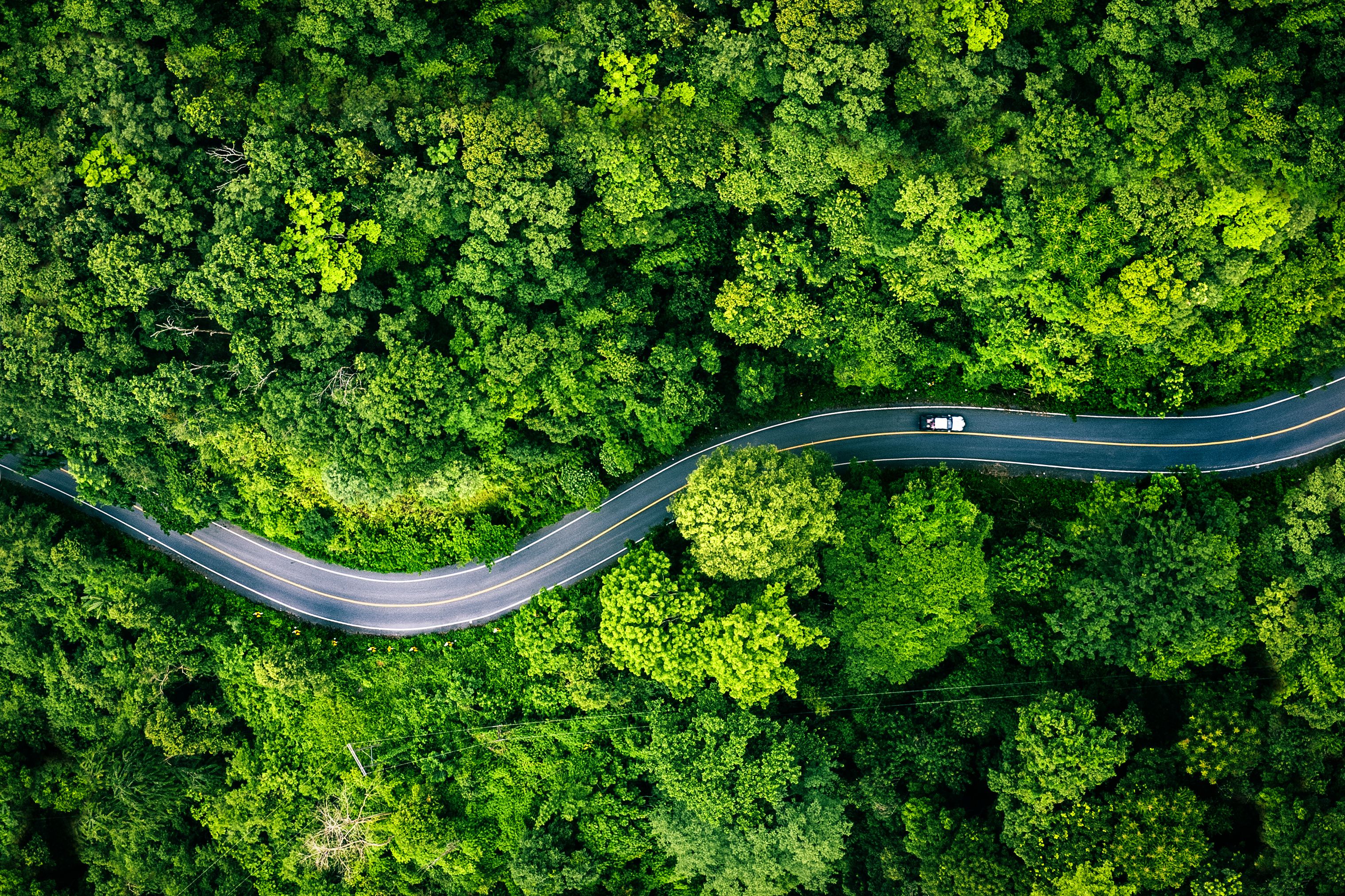 Vista aerea di una strada di campagna tortuosa che serpeggia attraverso una fitta foresta di un verde brillante; una sola auto percorre la strada.