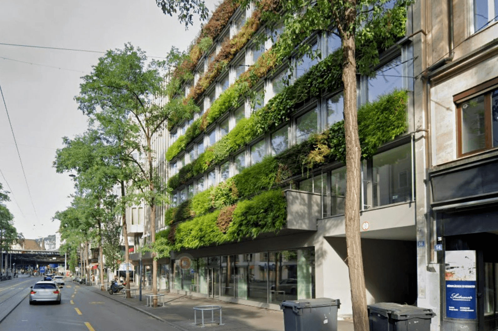 Die Liegenschaft an der Löwenstrasse in voller Blüte, 2024.