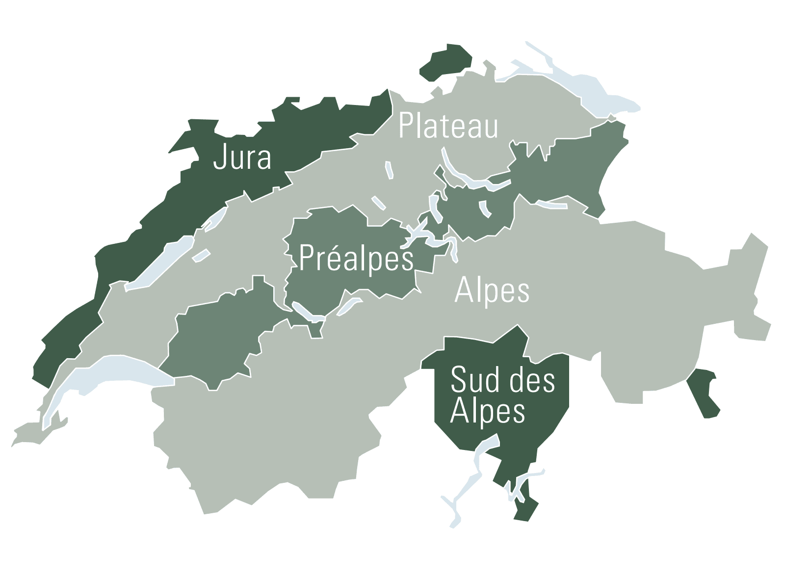 Le boisement en Suisse