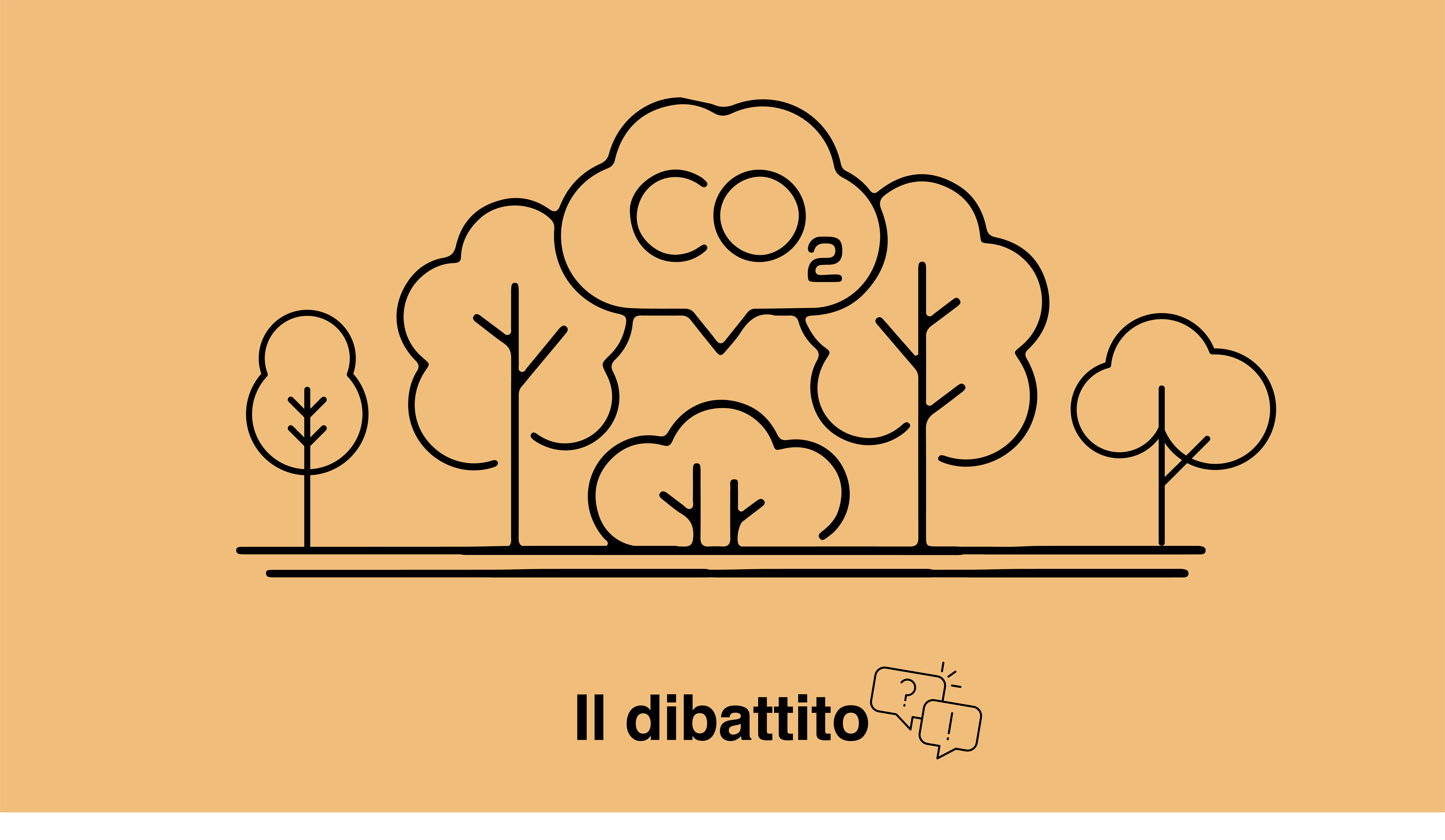 Le compensazioni delle emissioni di CO2 all'estero sono sostenibili?
