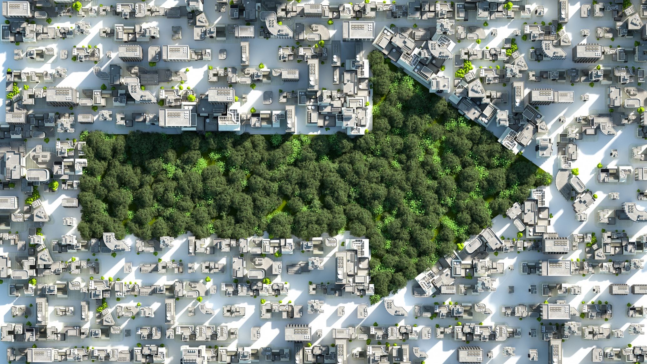 Net-Zero
