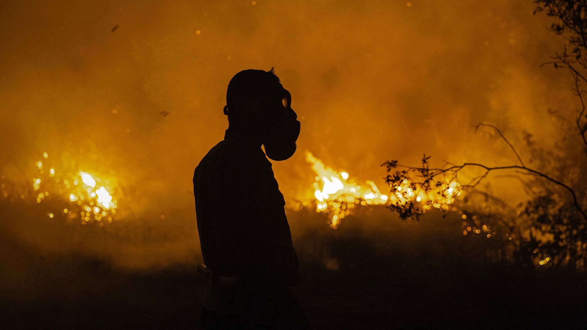 Die planetaren Grenzen als Leitgrössen für unsere Wirtschaft