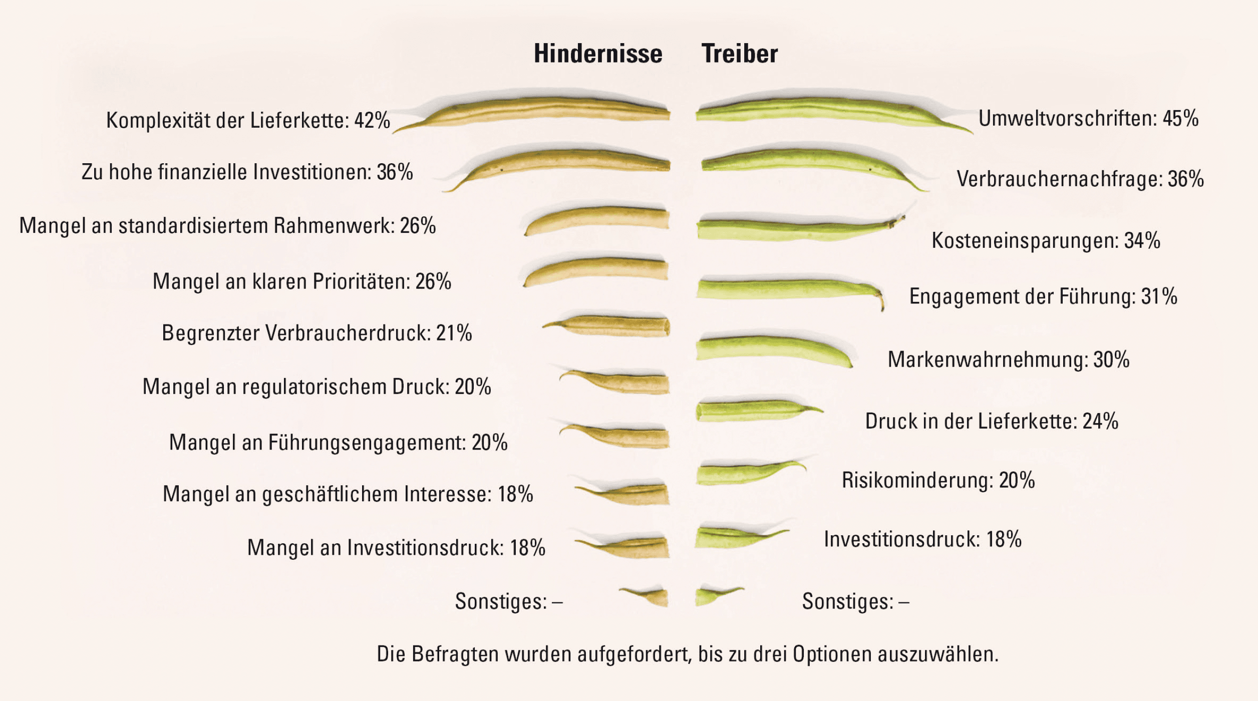 Grafico: Studio Quantis "Ricetta per la trasformazione" (2024)