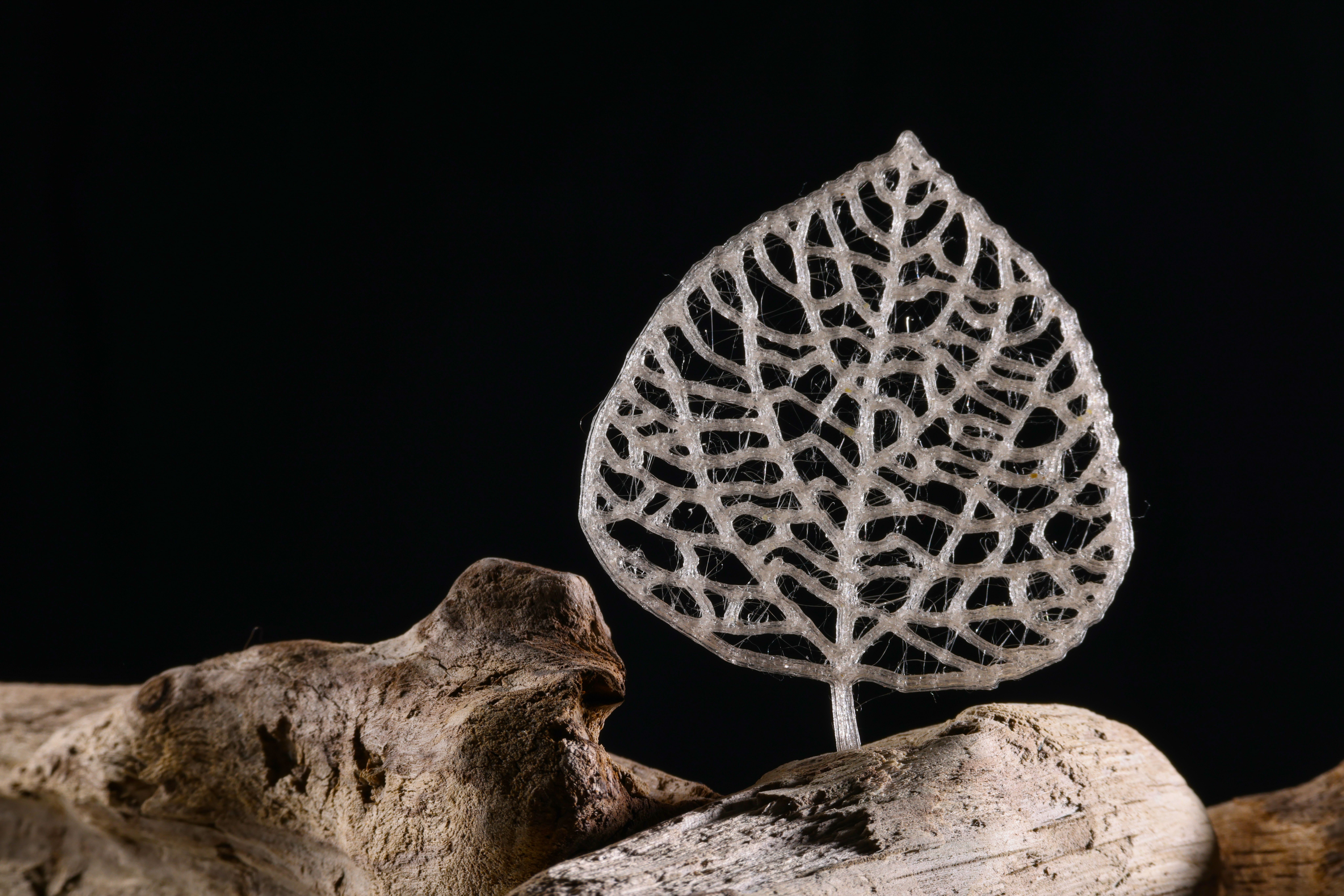 Une «feuille» imprimée en 3D à partir d’un nouveau bioplastique.