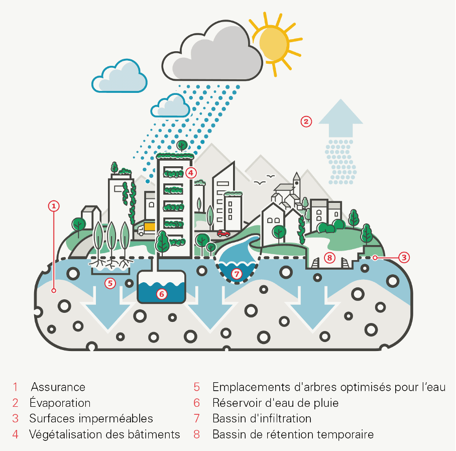 graphique: Infographie de la Mobilière