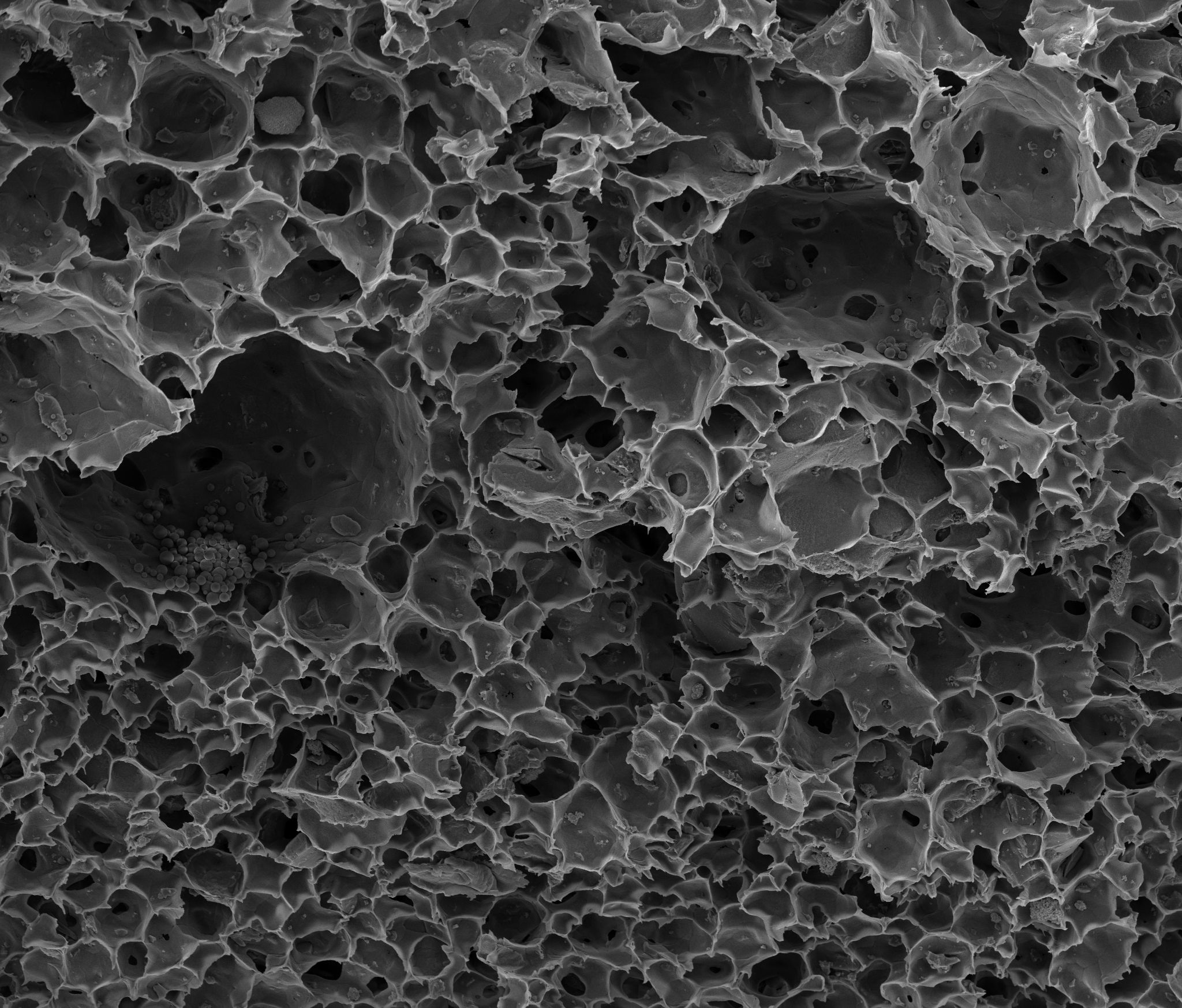 Questa innovazione svizzera rende la nostra acqua di nuovo pulita