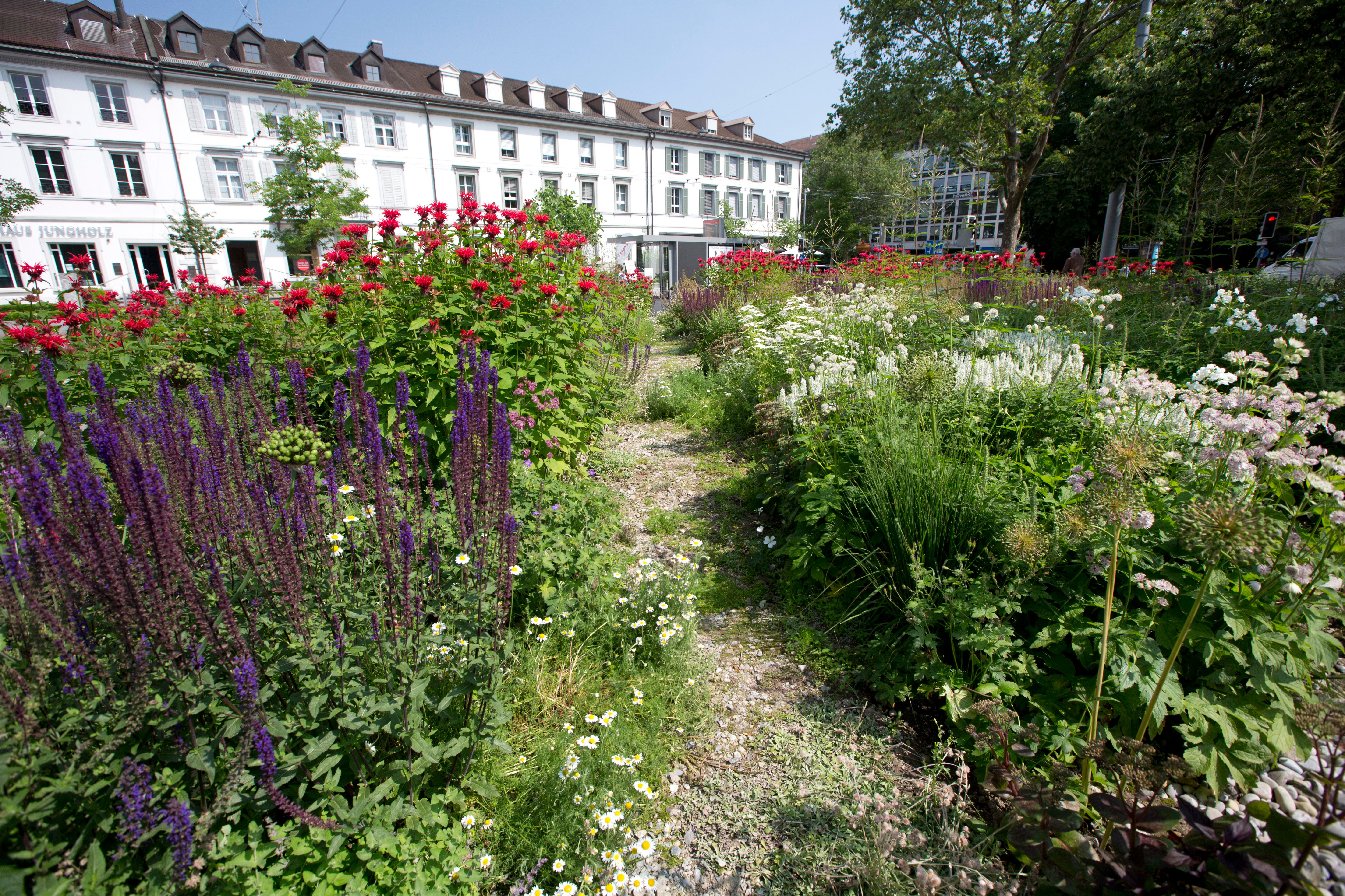 Foto: Stadt St. Gallen