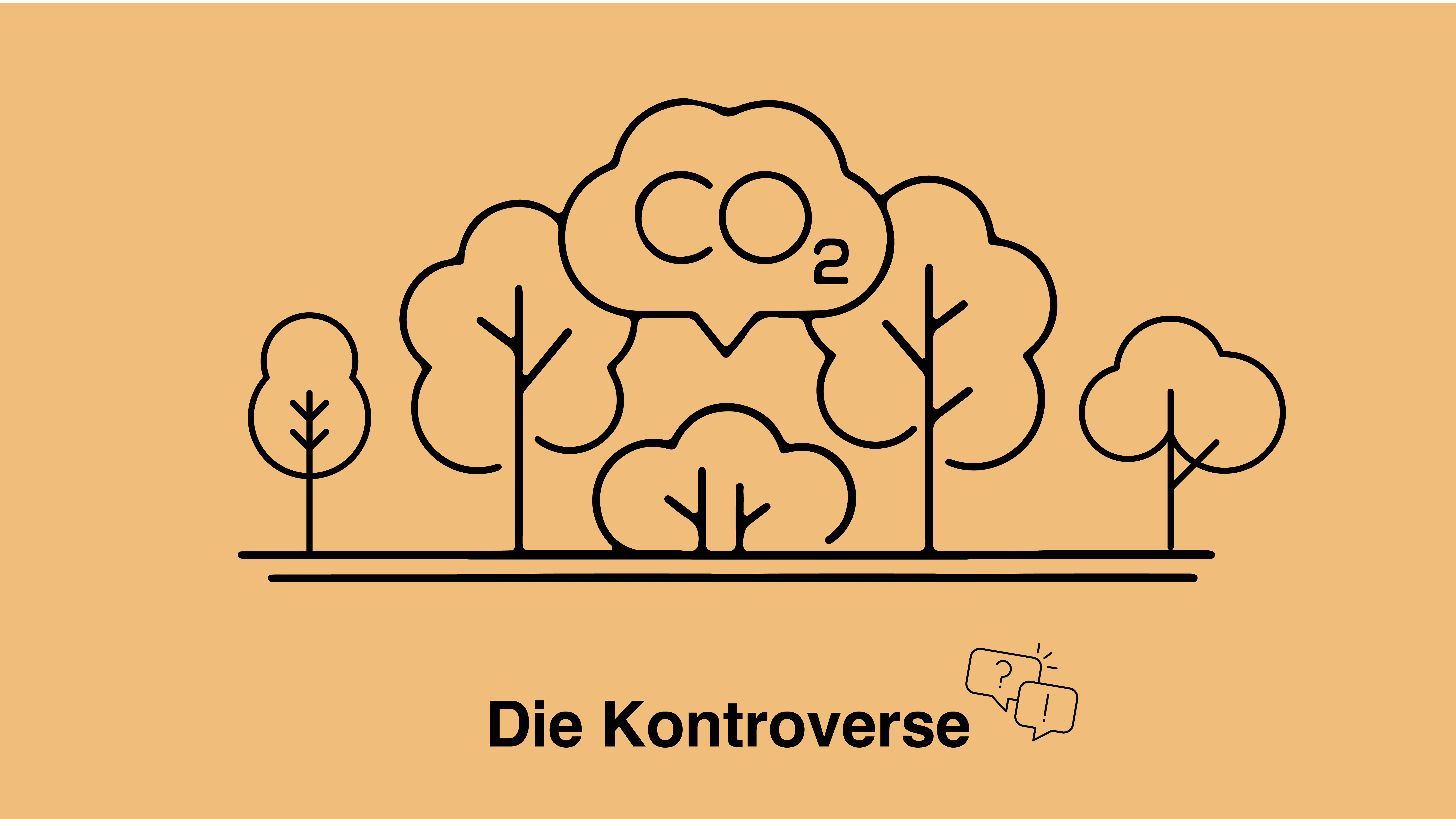 Sind CO2-Kompensationen im Ausland nachhaltig?