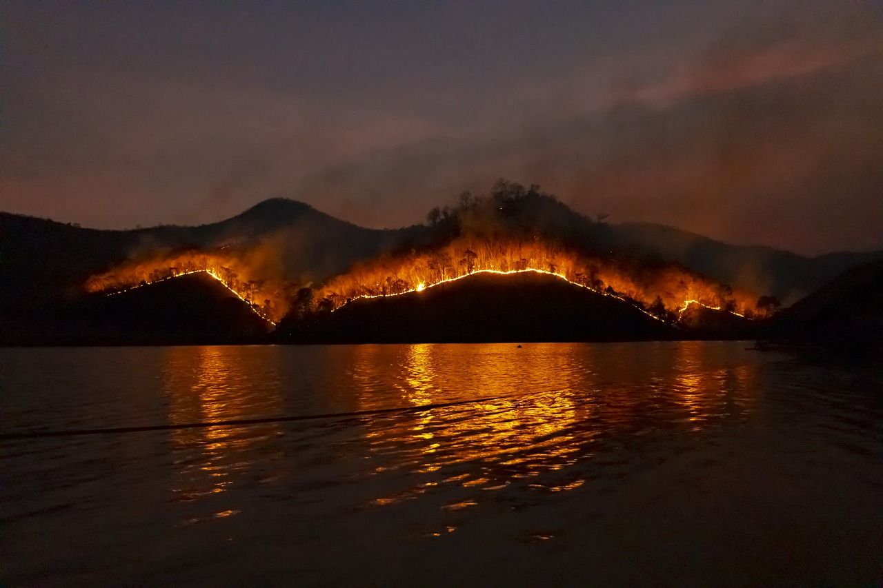 Waldbrand