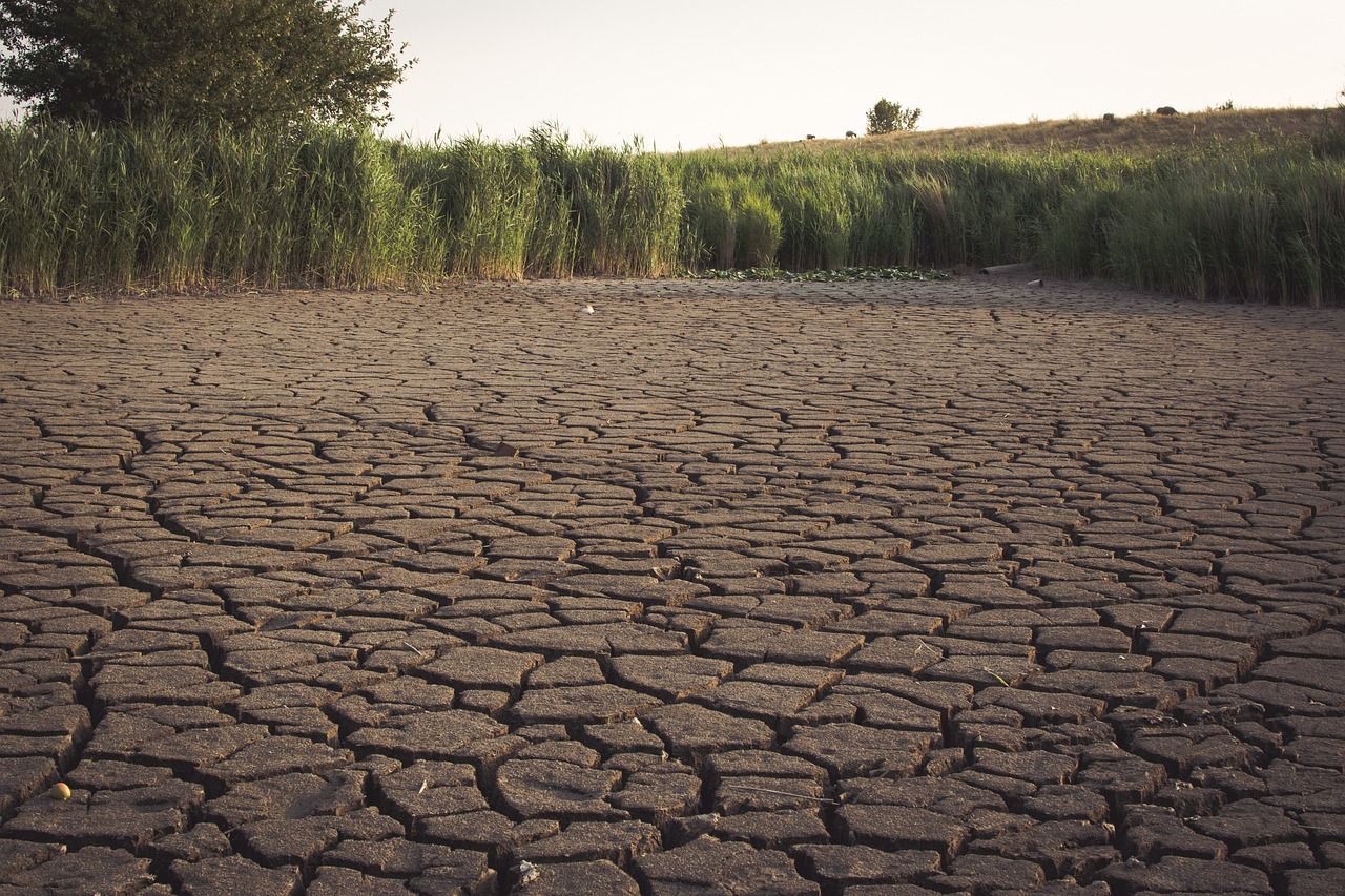 https://pixabay.com/photos/dried-out-lake-dry-dryness-drought-3568265/