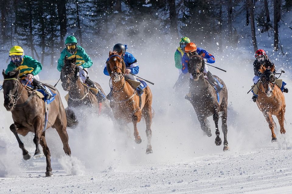 https://pixabay.com/photos/horse-race-gallop-jockey-horses-4018609/