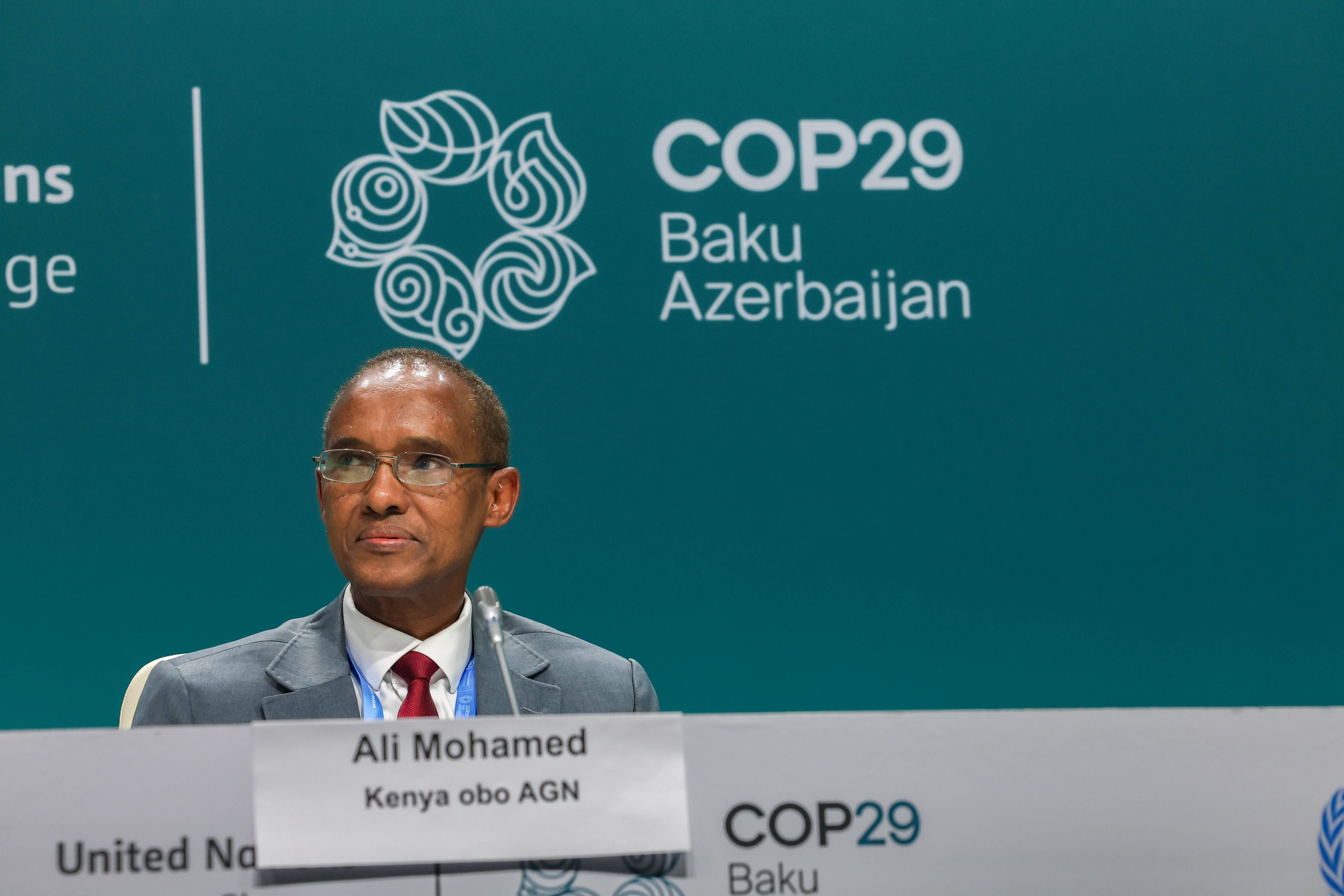 Ali Mohamed in der Klimakonferenz in Baku. Bild: Imago
