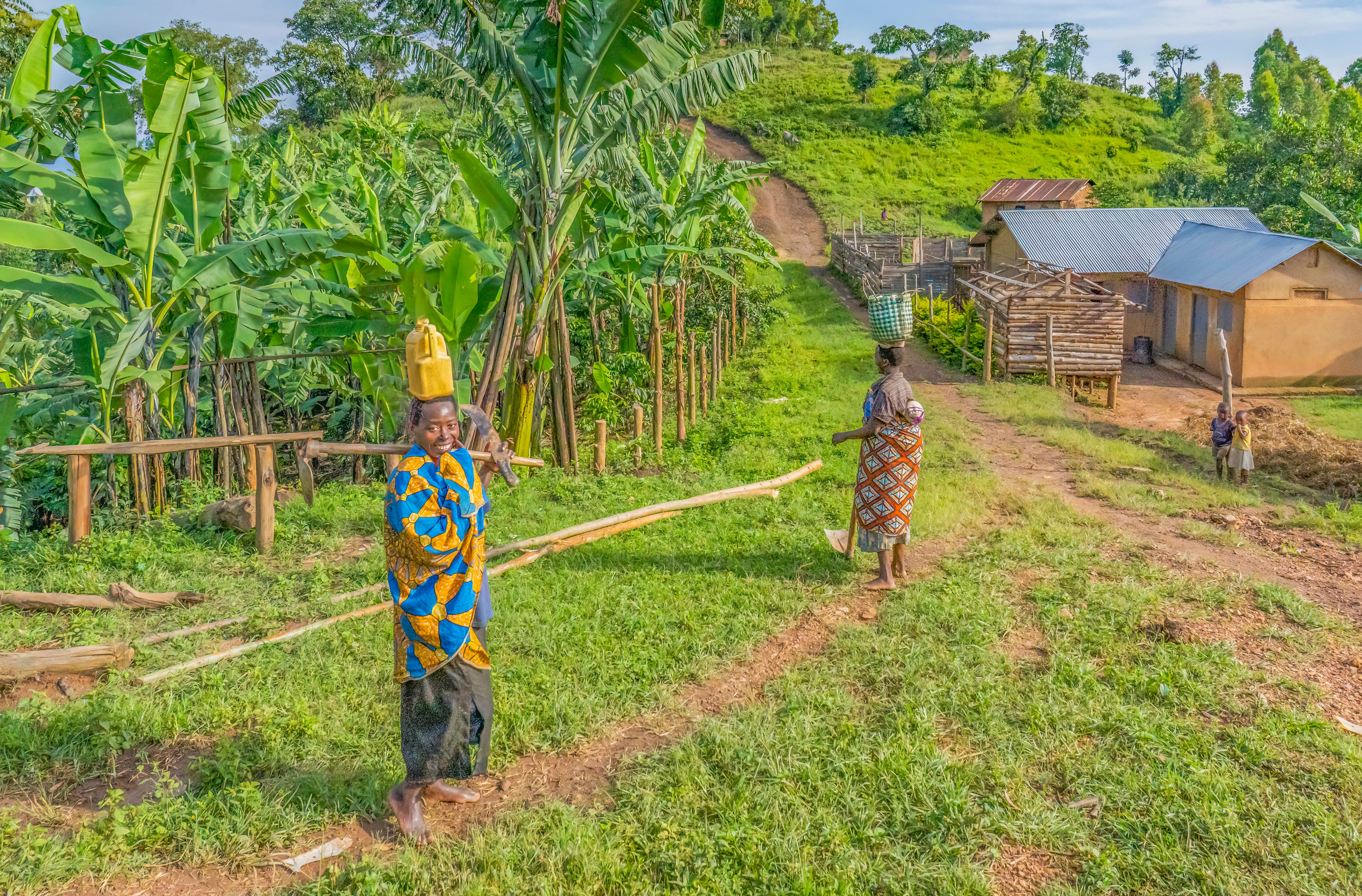 Forschende der University of California besuchten für Projekte zur Pandemiebekämpfung Dörfer am Waldrand.