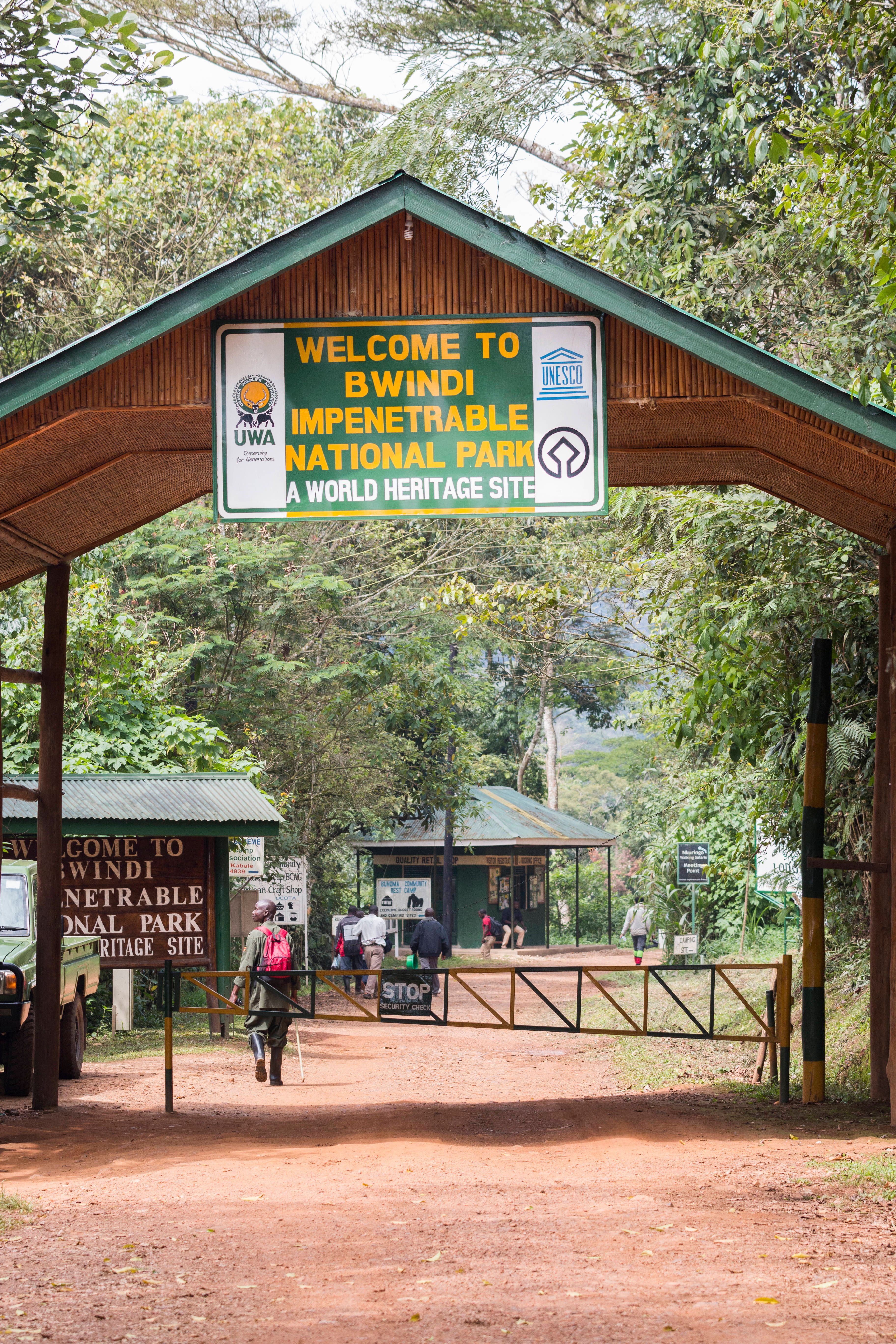 Gefährliches Paradies: Eingang zum Bwindi-Nationalpark.