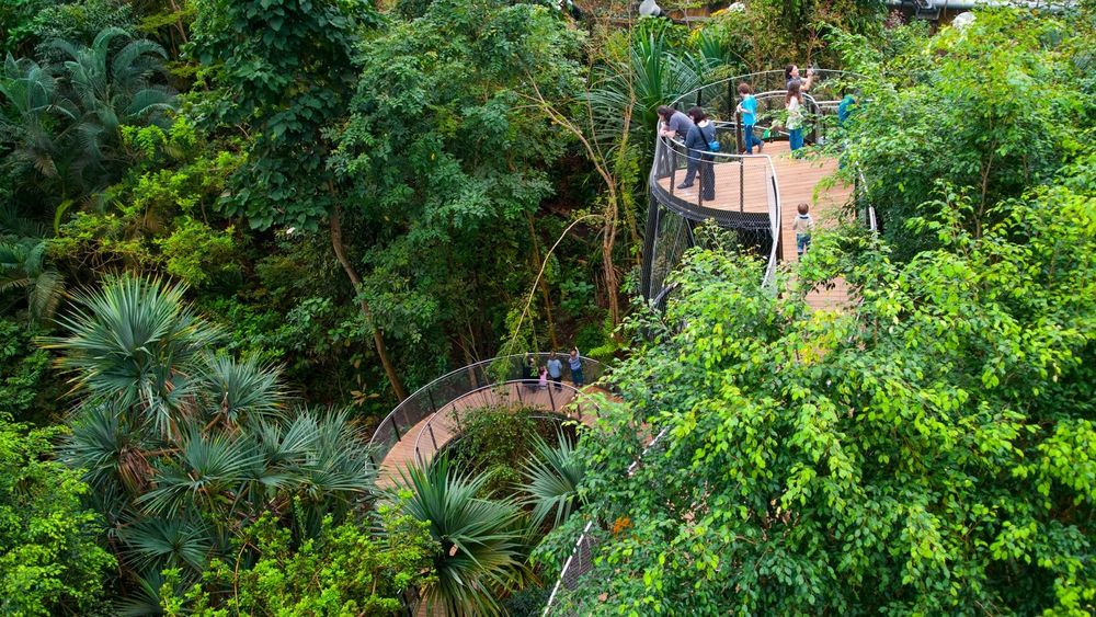 Masala Halle Zürich