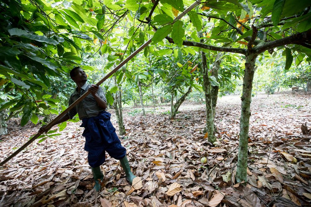 Die «Super-Fairtrade»-Schokolade