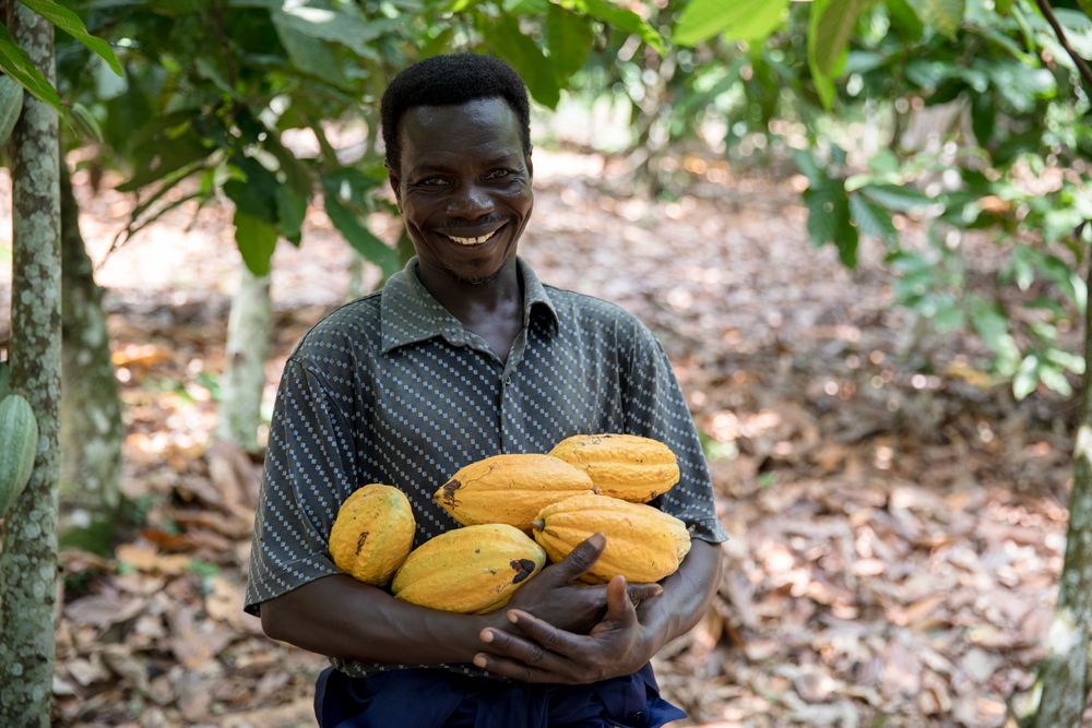 Foto: Fairtrade/Francis Kokoroko