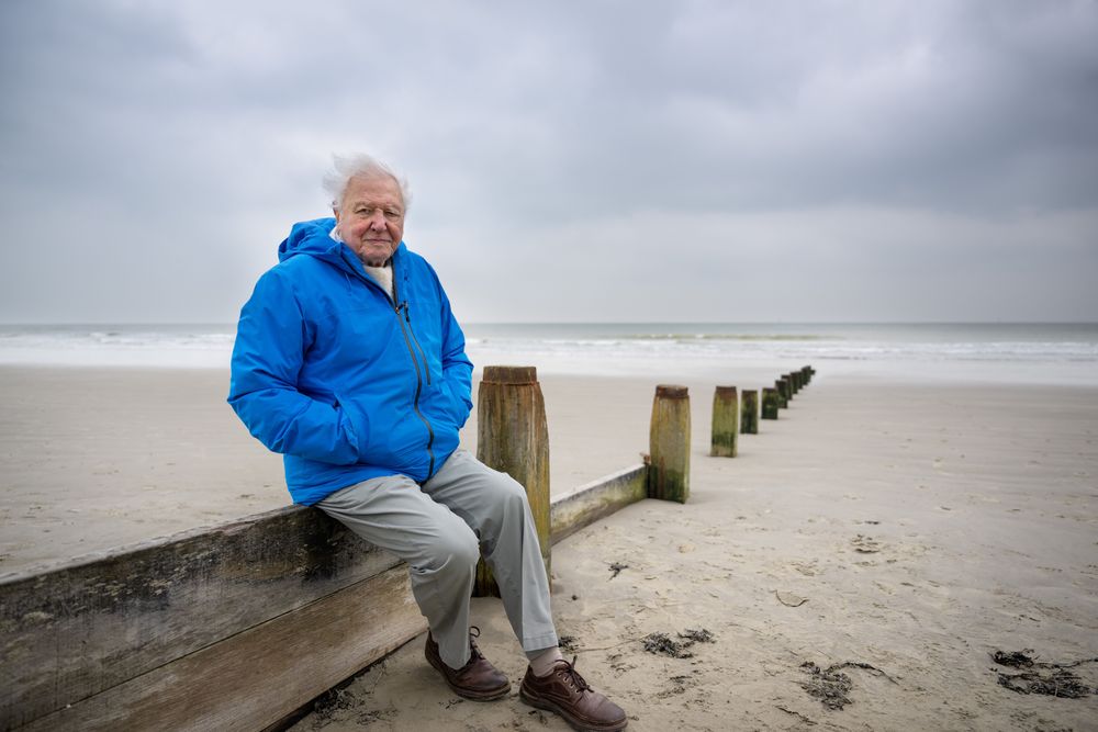 Der Naturfilmer David Attenborough setzt sich auch mit 99 Jahren noch immer vehement gegen Umweltzerstörung ein.