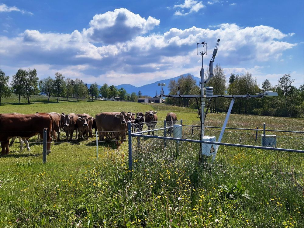 Foto: Messstation Früebüel