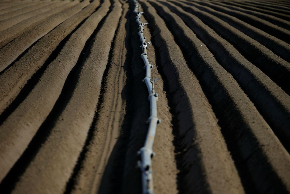 Mangelt es in den Abruzzen an Wasser, liegt das nicht nur an der Trockenheit.