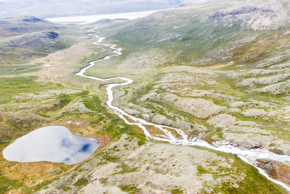 Der Klimawandel verwandelt Grönland in eine Tundra-Landschaft.