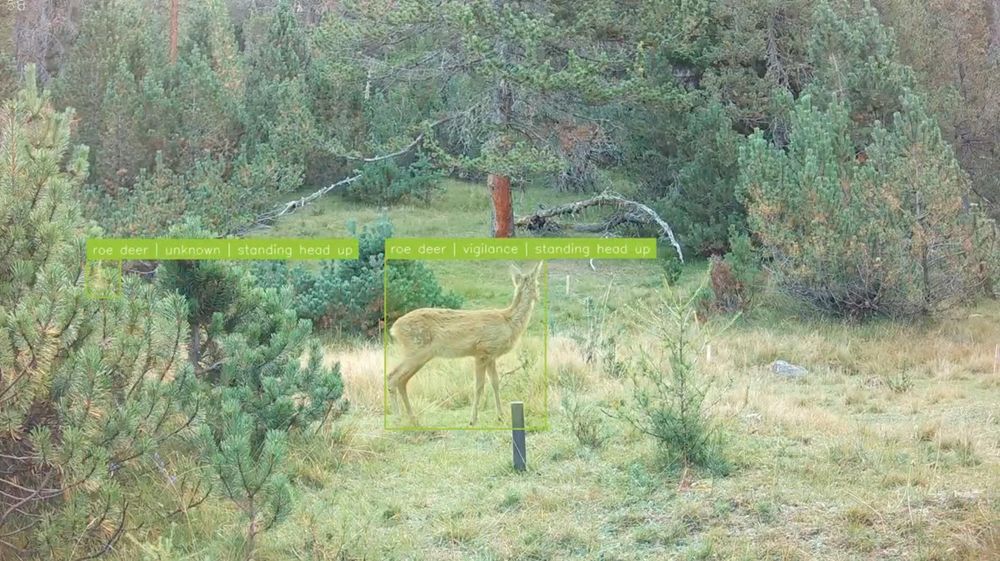 Foto: A. Mathis, EPFL