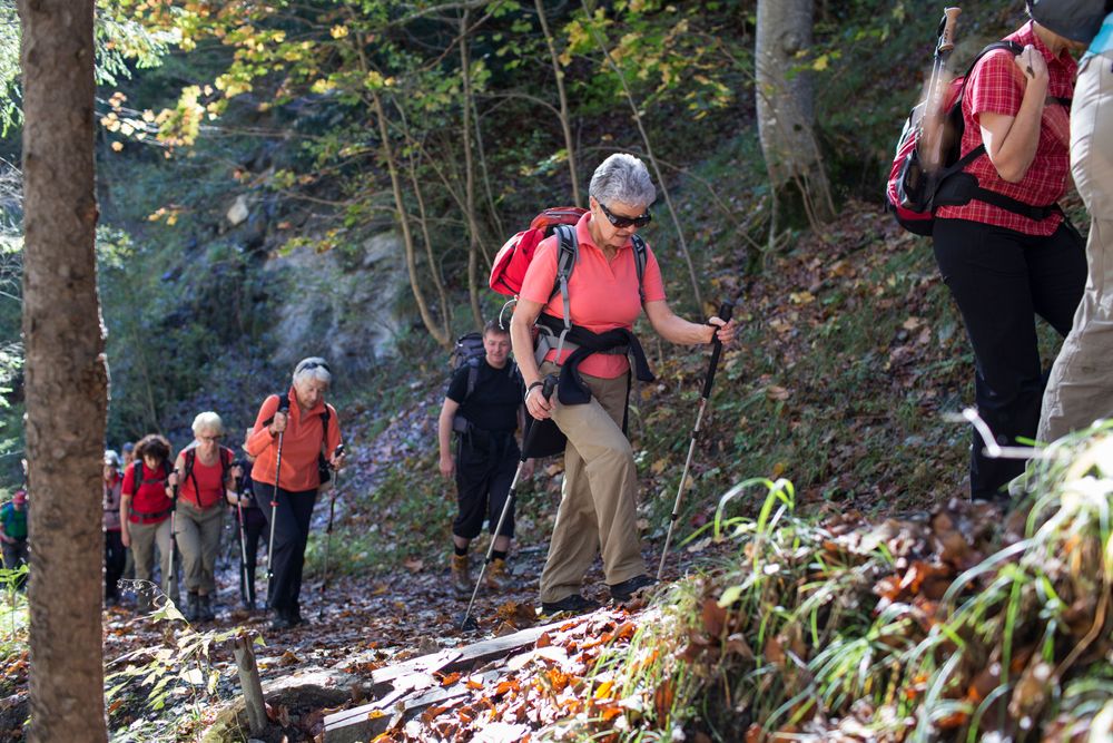 Eine Wandergruppe von Seniorinnen und Senioren gehen durch einen Wald