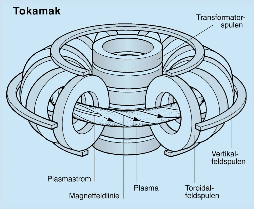 In einem Fusionsreaktor vom Tokamak-Typ verdrillt ein im Plasma fliessender Strom die Magnetfeldlinien.