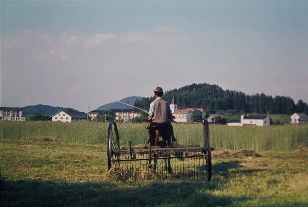 Bauer auf dem Feld mit einem Pferd (Deutschland, ungefähr 1950).