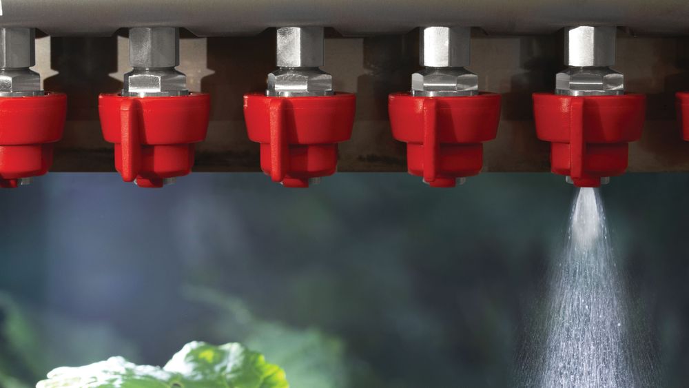 La tecnologia di irrorazione Ecorobotix in uso su un campo di carote