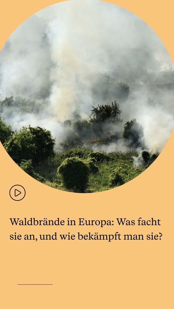 Waldbrande in Europa: Was facht sie an, und wie bekampft man sie?