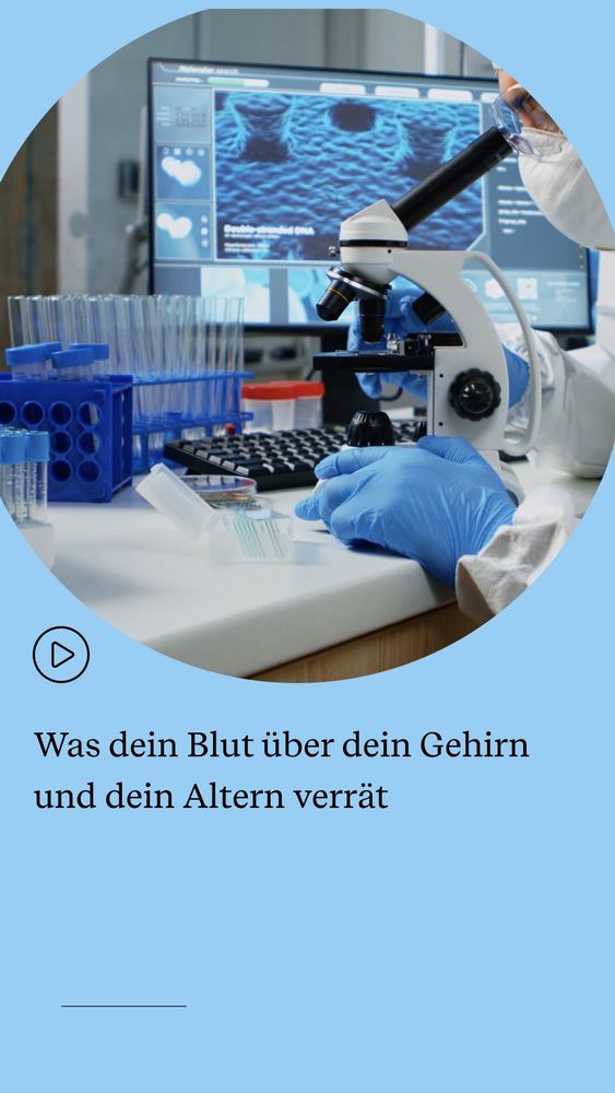 Was dein Blut tiber dein Gehirn und dein Altern verrat