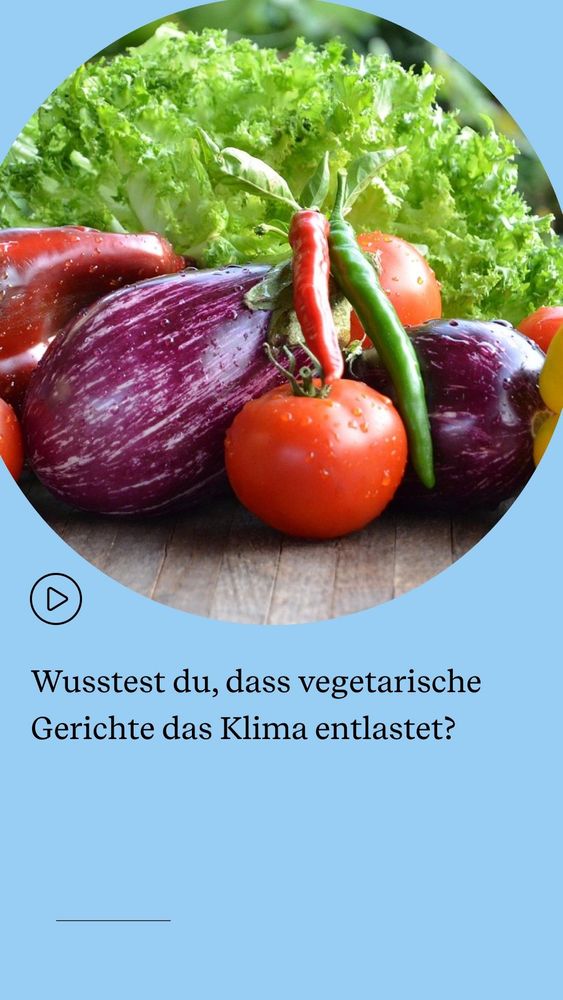 Gerichte das Klima entlastet?