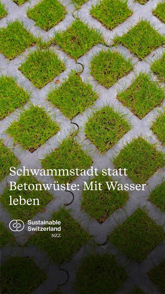 GP Nn msta zB Betonw : Bion  >  ot Teelaey sts IOS Ne 7 > ae |  NZZ