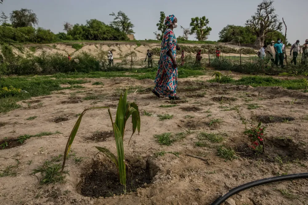 Senegal in Westafrika beteiligt sich an dem Aufforstungsprojekt Great Green Wall.