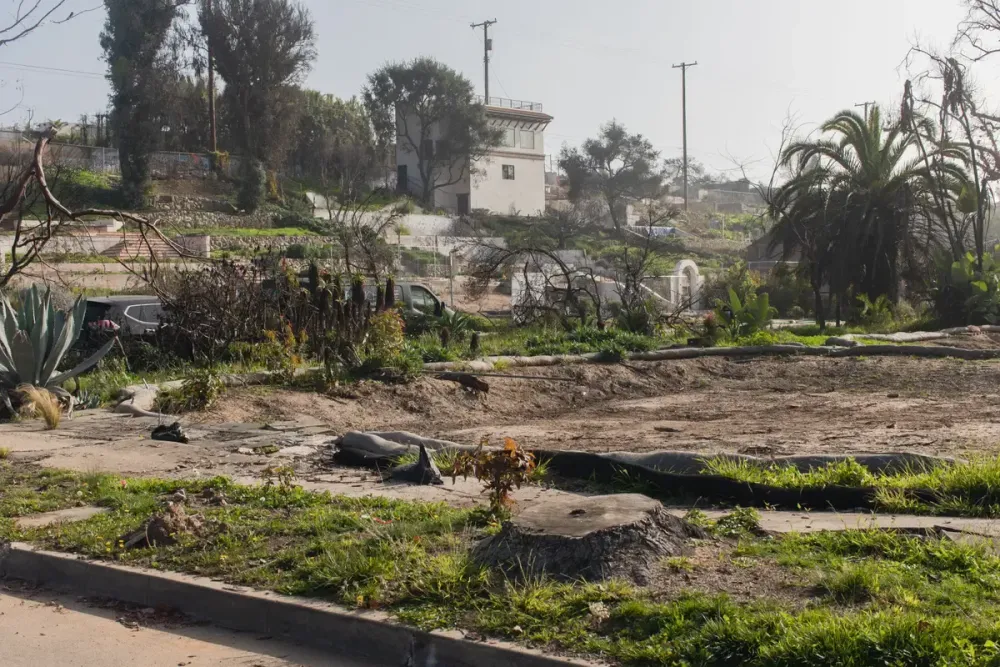 An der Adresse 669 Haverford Avenue lebte Patty Cohen 36 Jahre lang, nun ist nur noch der Pool übrig.