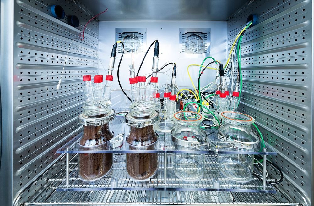 Auch an der Zürcher Hochschule für Angewandte Wissenschaften wird am Kaffee der Zukunft geforscht.