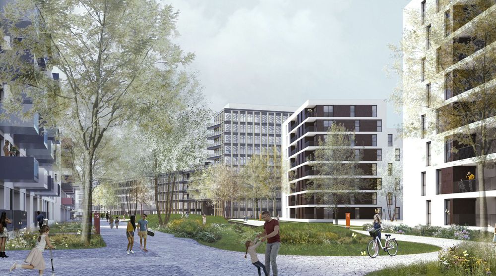 Foto: Collignon Architektur 