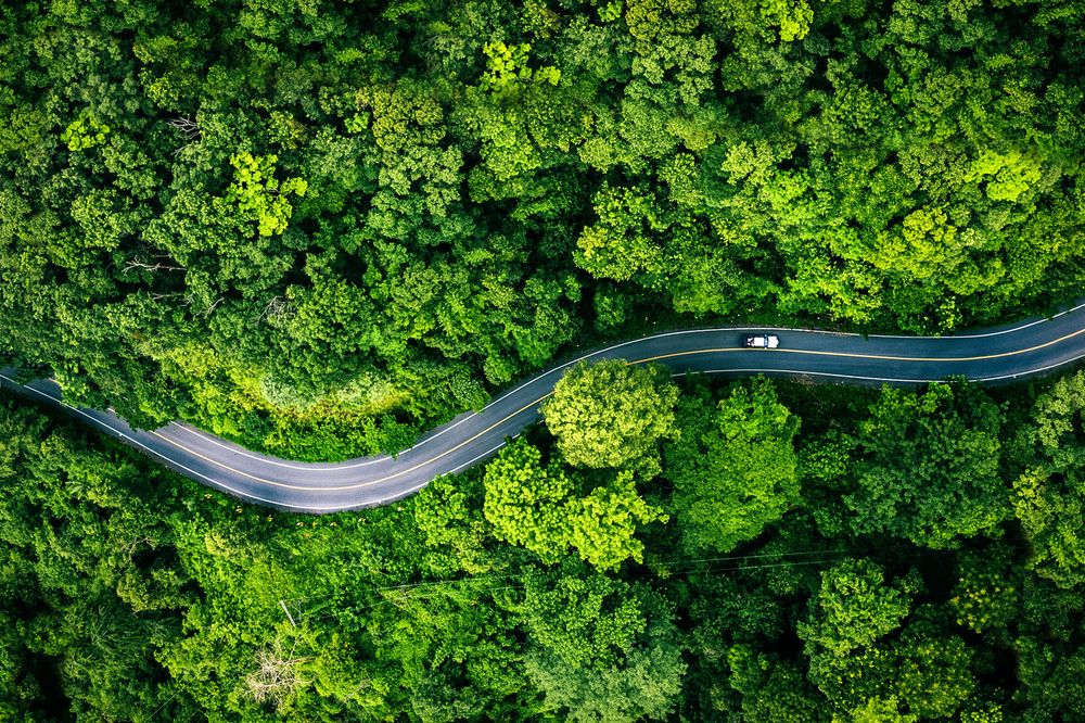 Vista aerea di una strada di campagna tortuosa che serpeggia attraverso una fitta foresta di un verde brillante; una sola auto percorre la strada.