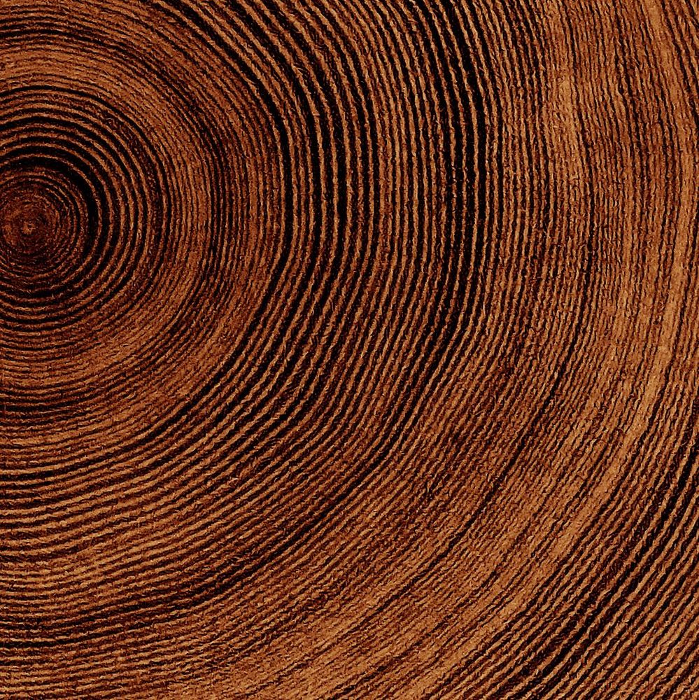 Kreislauf&shy;wirtschaft