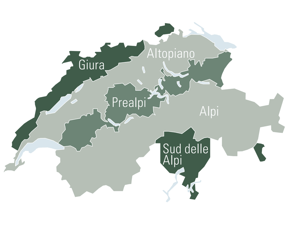 Forestazione in Svizzera