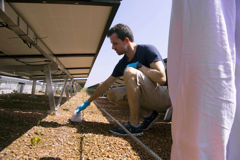 Photos: Hannes Hübner / ETH Zurich