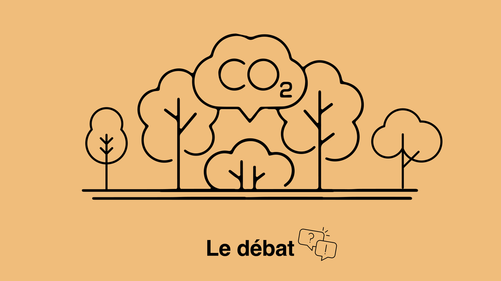 Les émissions de CO2 à l'étranger sont-elles durables?